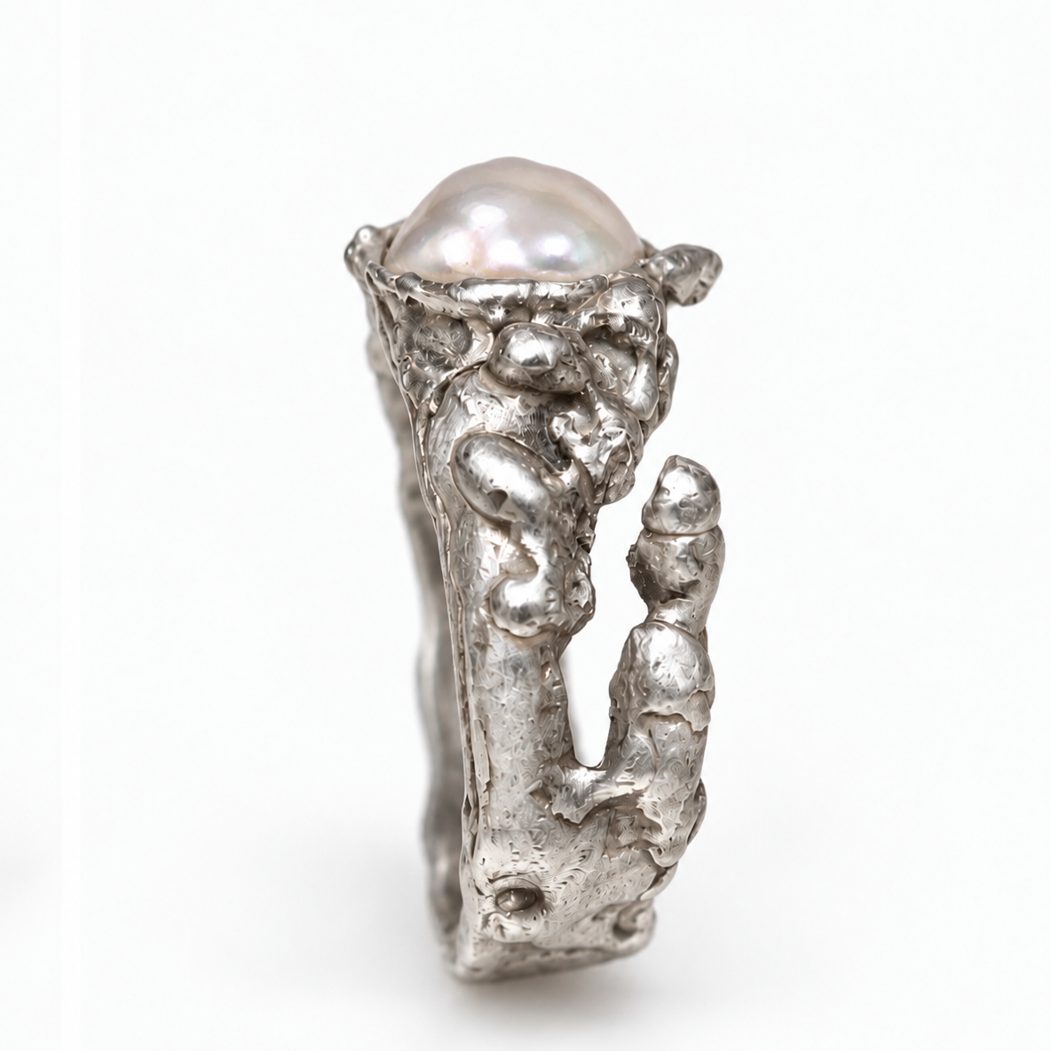 Venus shell